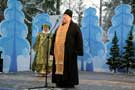 Елка из Клинского района будет стоять на соборной площади Московского Кремля