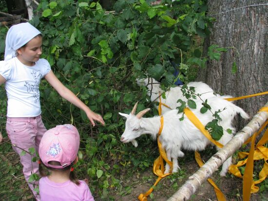 Народные гуляния на Троицу в Клину