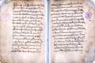 Писцовые книги XVI века